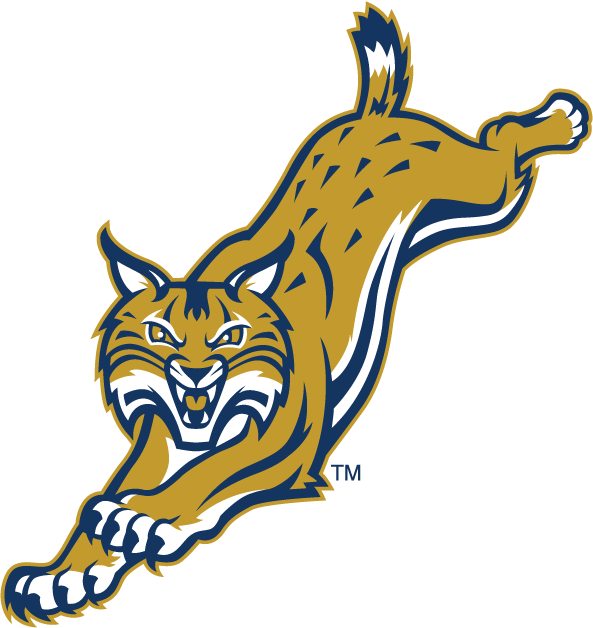Quinnipiac Bobcats 2002-Pres Alternate Logo v4 diy fabric transfer